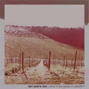 What if we move in stealth?