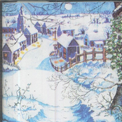 Before I Glare Up At The Sun Through The Top Soil