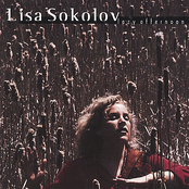 If I Loved You by Lisa Sokolov