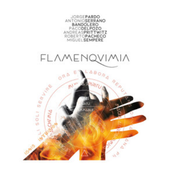 Flamenquimia