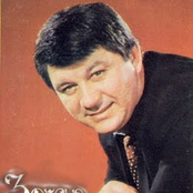 zoran gajic