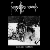 Sjel Av Natten, Unlimited Hate [Split With Joyless]