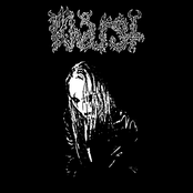 From Darkness It's Begin