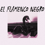 El Flamenco Negro