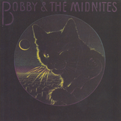 Festival by Bobby & The Midnites