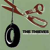 Velcro Colours by The Thieves