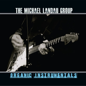 Michael Landau Group: ORGANIC INSTRUMENTALS