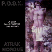 atrax morgue / p.o.s.k.