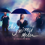 Cheia Inimii Mele - Single