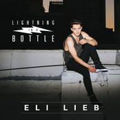 Lightning In A Bottle by Eli Lieb