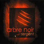 Le Temps by Arbre Noir