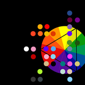 C O L O R S Q U A D  0 4