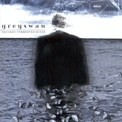 Sleepless Night by Greyswan