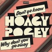 Hoagy Pogey