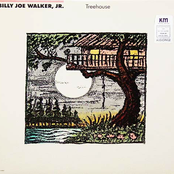 The Flower Song by Billy Joe Walker, Jr.