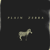 plain zebra