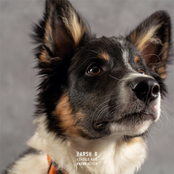 I Should Have Known Better