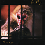 The Guardian Of Forever by Ice Age
