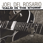 Joel Del Rosario: Calm in the Storm