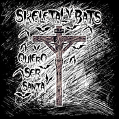 Quiero Ser Santa (cover Parálisis Permanente)