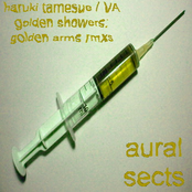 Haruki Tamesue / VA - Golden Showers: Golden Arms rmxs