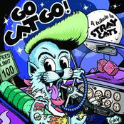 The Rocketz: Go Cat Go! A Tribute To Stray Cats