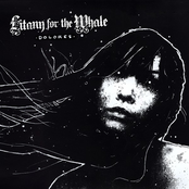 Rotting On The Shoreline by Litany For The Whale