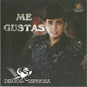 Me Gustas