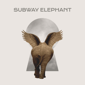 Subway Elephant