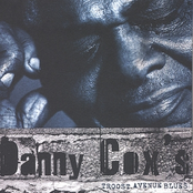 Danny Cox: Danny Cox's Troost Avenue Blues