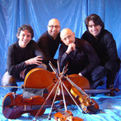 solis string quartet