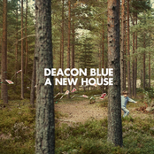 Our New Land by Deacon Blue