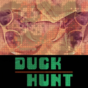 Duck Hunt