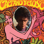 Caetano Veloso Album Picture