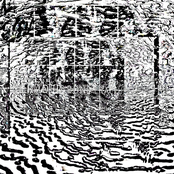 SERRATED BONE FRACTURE
