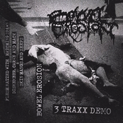 5 Traxx Demo