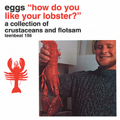 'how do you like your lobster?' a collection of crustaceans and flotsam