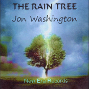 The Rain Tree