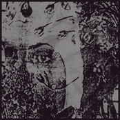 Dream Machine Disorder / Autodestruction