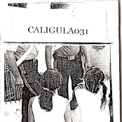 Albanian Meat Market