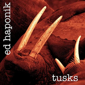 Tusks