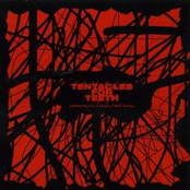 Smears of Black Feedback