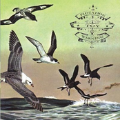 Bluffer`s Guide to the Flight