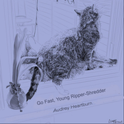 Go Fast, Young Ripper-Shredder