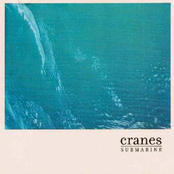 Submarine (greg Long's Patina Mix) by Cranes