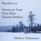 Beethoven: Sonata Ao Luar / Para Elisa / Sonata Patética