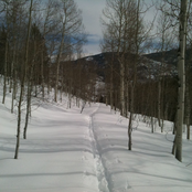 Highlights from F.A.W.M. 2011