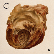 IV