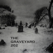 The Graveyard 202
