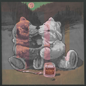 Little Bear. Big Forest.